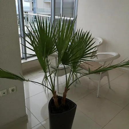 Apartment Benjamin Silver Beach